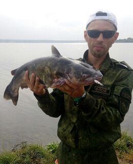 Ромыч